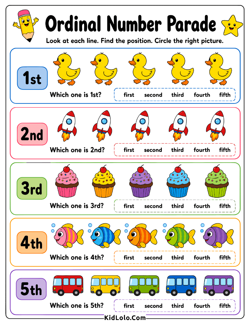 Ordinal numbers worksheet with picture rows and position word choices.